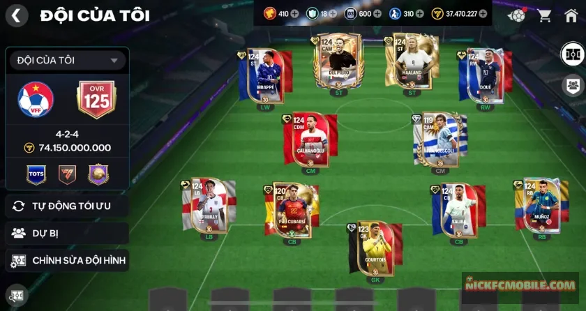 Ovr 125, 18 mảnh, 310 hhth