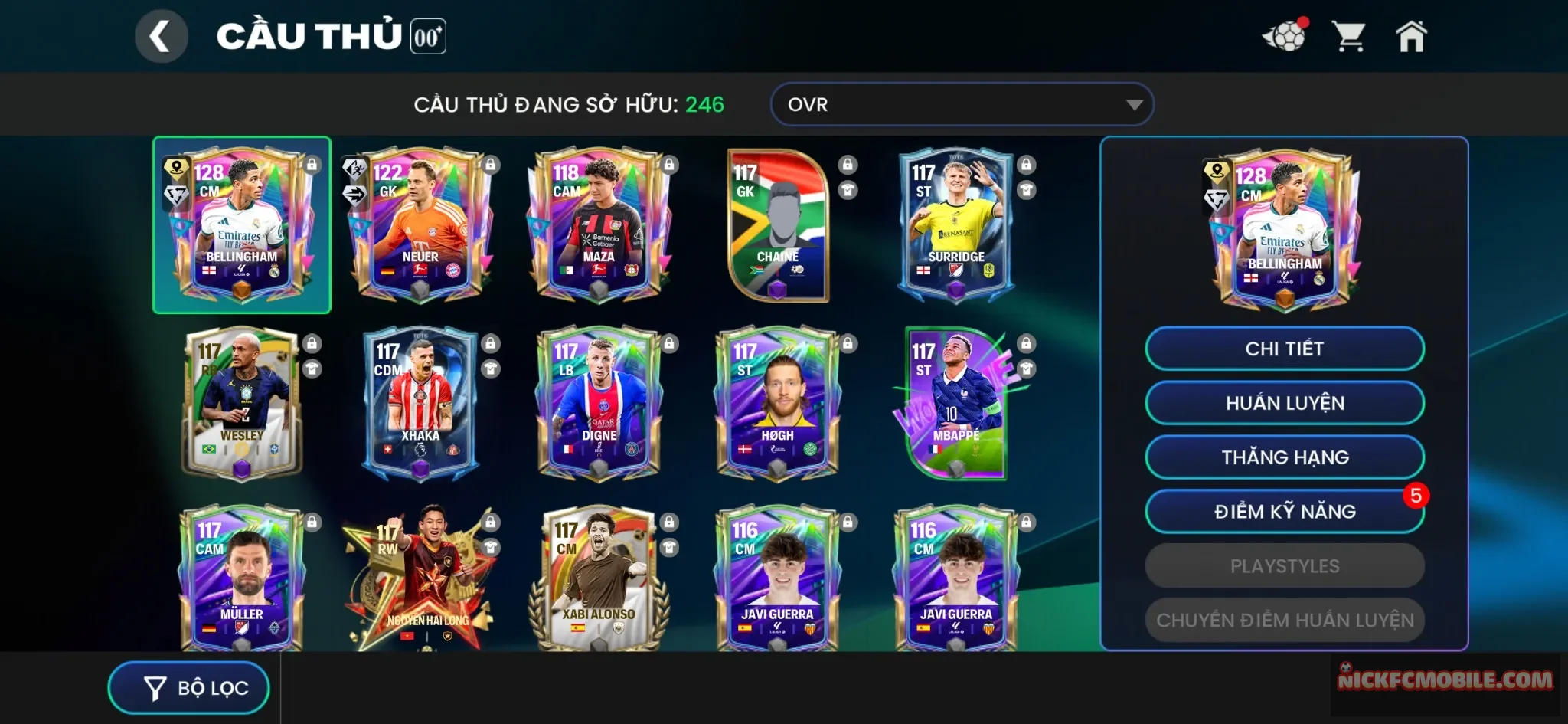 Reg bellingham+11kgem