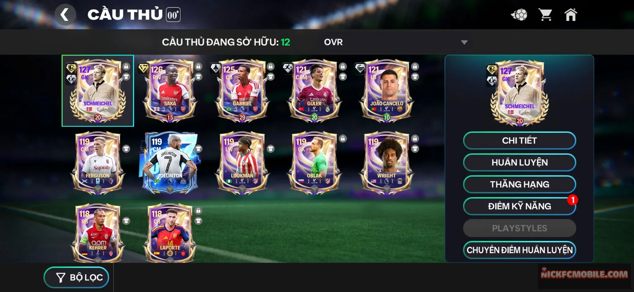 Reg Schmeichel+ Saka